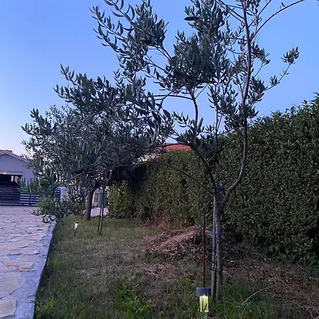 Apartment App Petrovija Umag